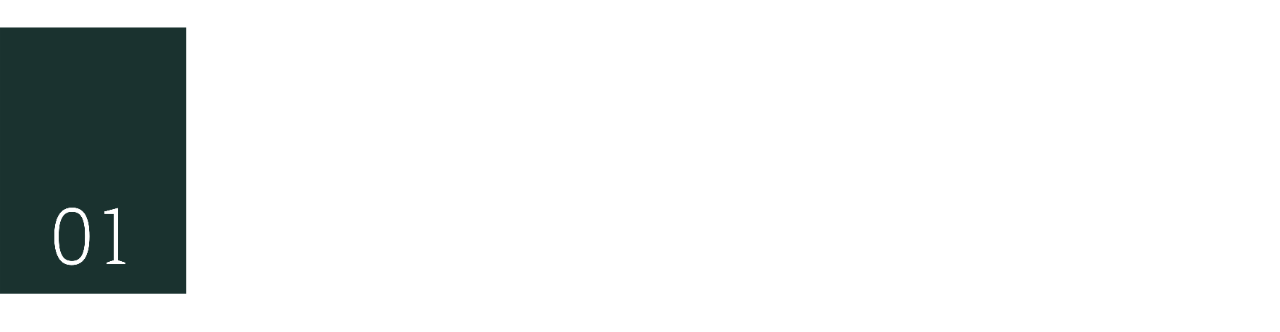 Début de la première section